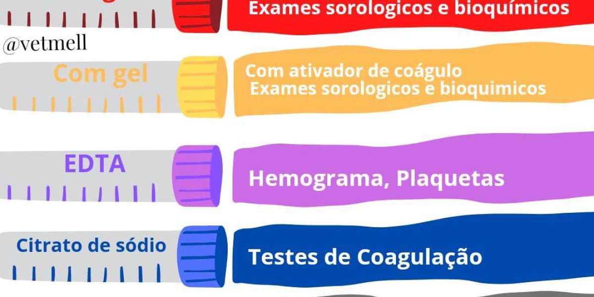 Melhorando a Qualidade de Vida dos Gatos com Problemas Renais: Os Benefícios do PRÉ 4 FELINO